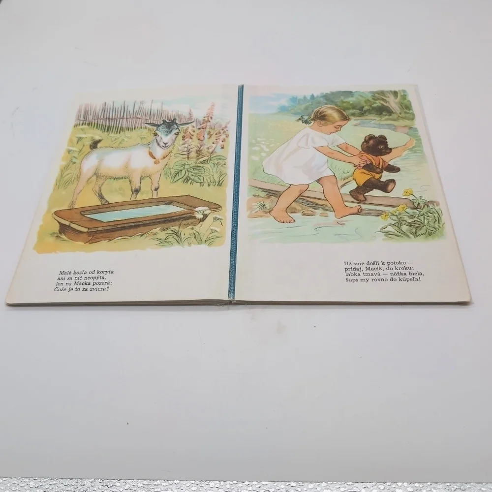 Slovakian Children's Book MÔJ MACÍK Pet Bear Story